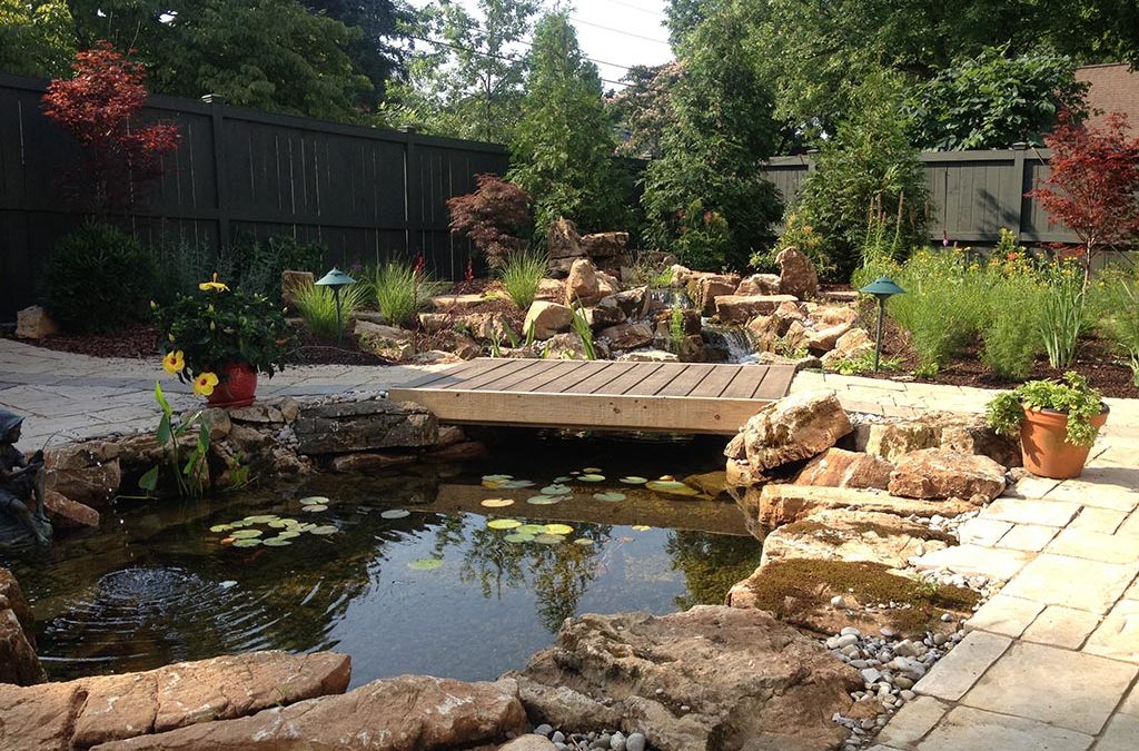 How do I Prepare my Pond/Water Feature for Fall-Winter here in the Central Kentucky Area (Lexington)