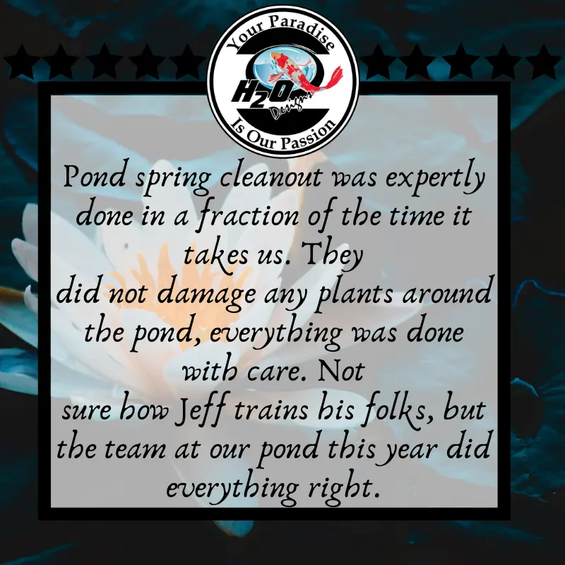 H2O Design's Customer Testimonials