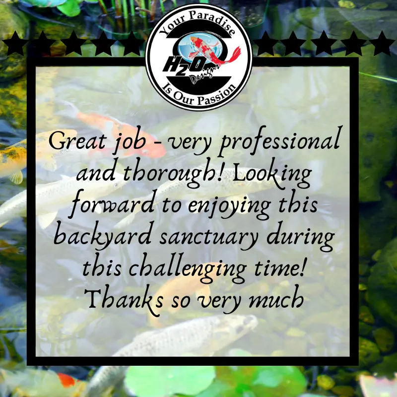 H2O Design's Customer Testimonials