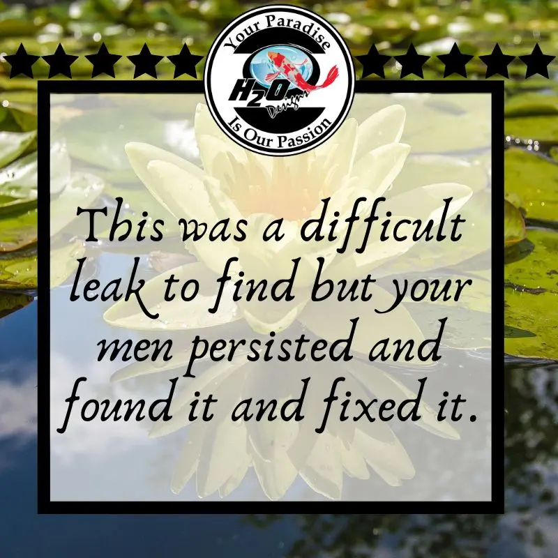 H2O Design's Customer Testimonials