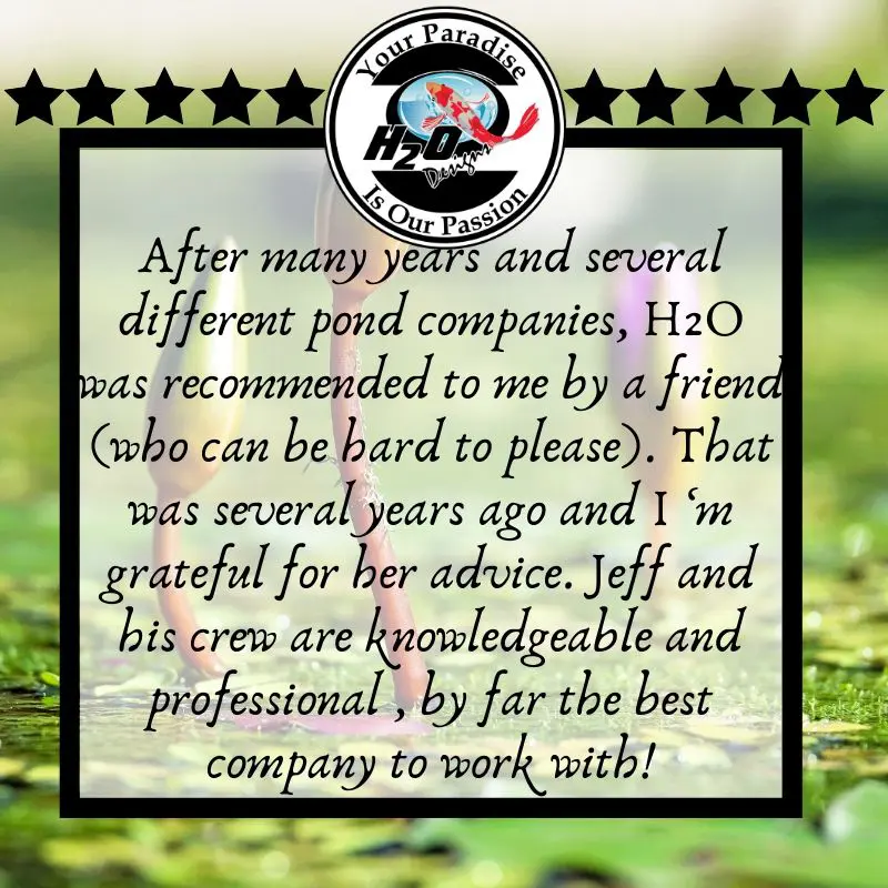 H2O Design's Customer Testimonials