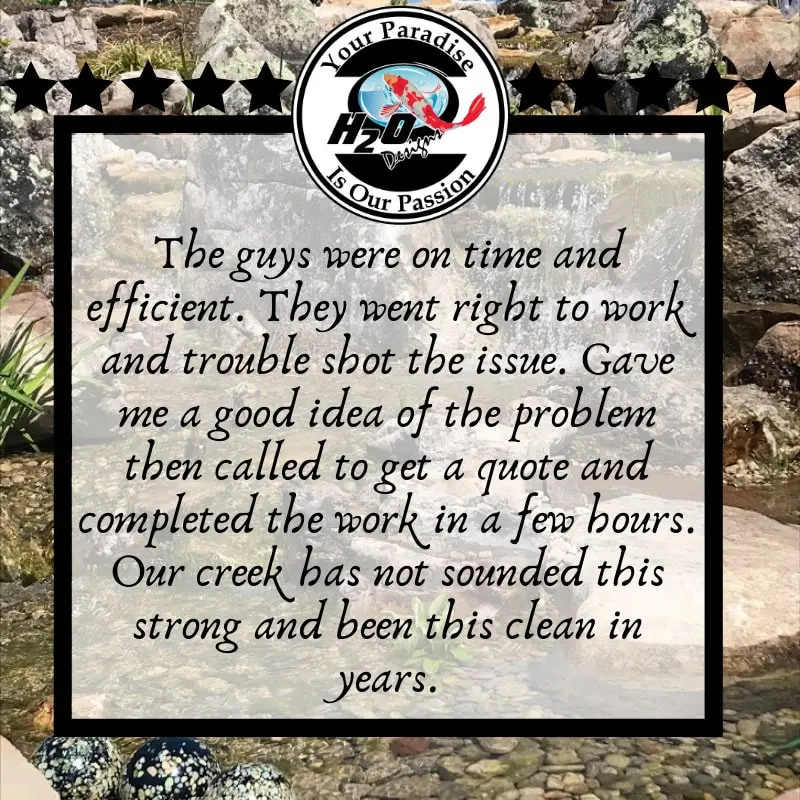 H2O Design's Customer Testimonials