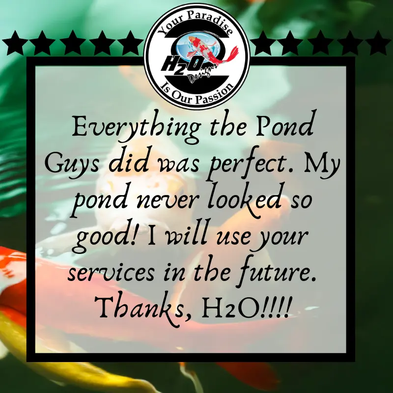 H2O Design's Customer Testimonials